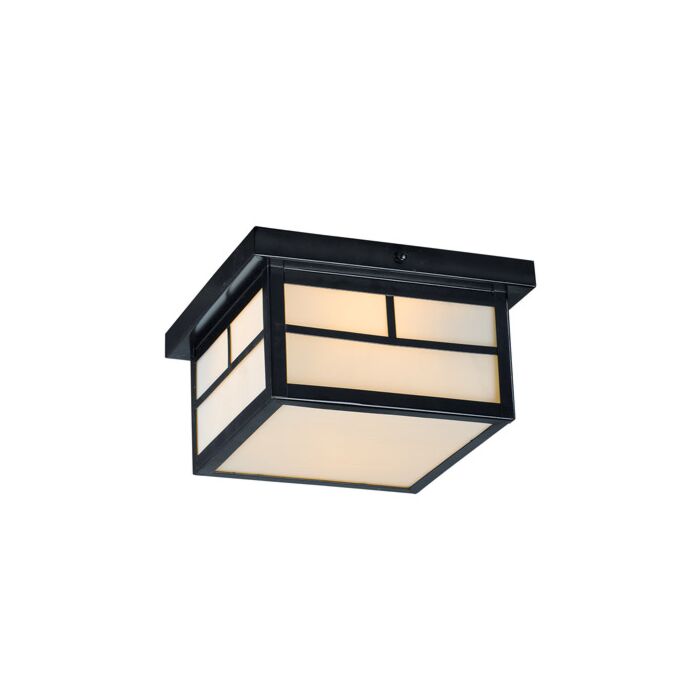 Maxim Lighting Coldwater 2 Light 2 Light Outdoor Flush Mount in Black