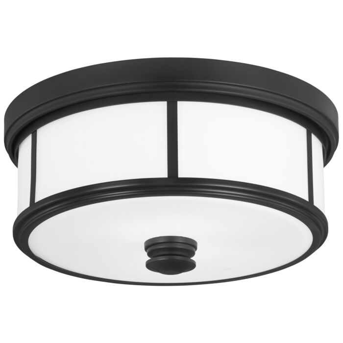 Minka Lavery Harbour Point 2 Light Ceiling Light in Coal