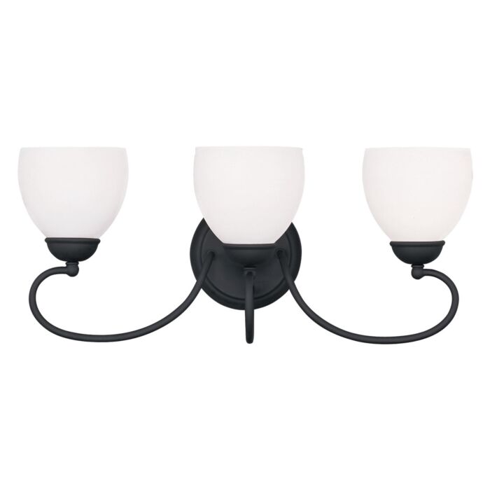 Brookside 3-Light Bathroom Vanity Light in Black