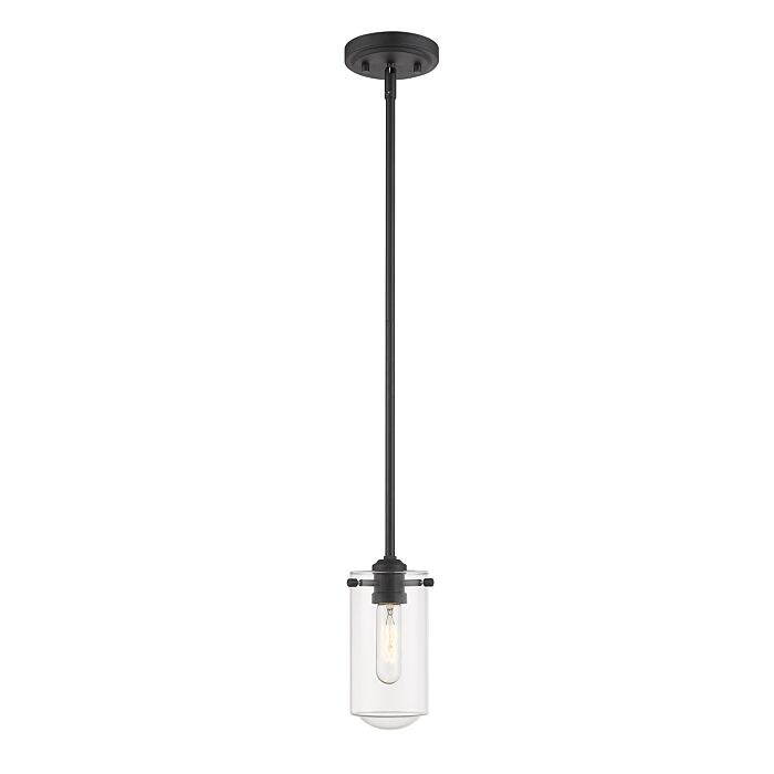 Z Lite Delaney 1 Light Mini Pendant Light In Matte Black