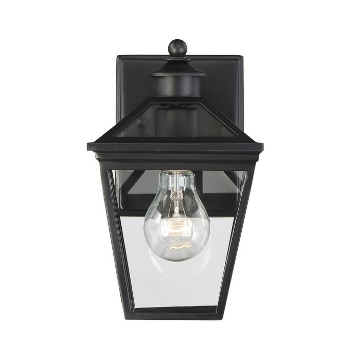 Savoy House Ellijay 1 Light Outdoor Wall Lantern in Black