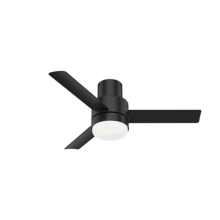 Hunter Gilmour 2 Light 44 Inch Indoor Flush Mount Ceiling Fan in Matte Black
