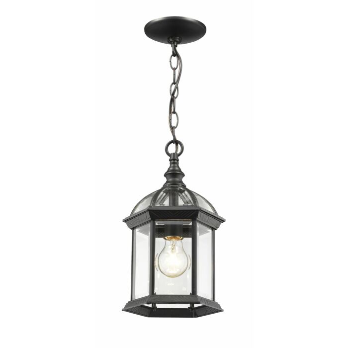 Z Lite Annex 1 Light Outdoor Chain Mount Ceiling Fixture Light In Black