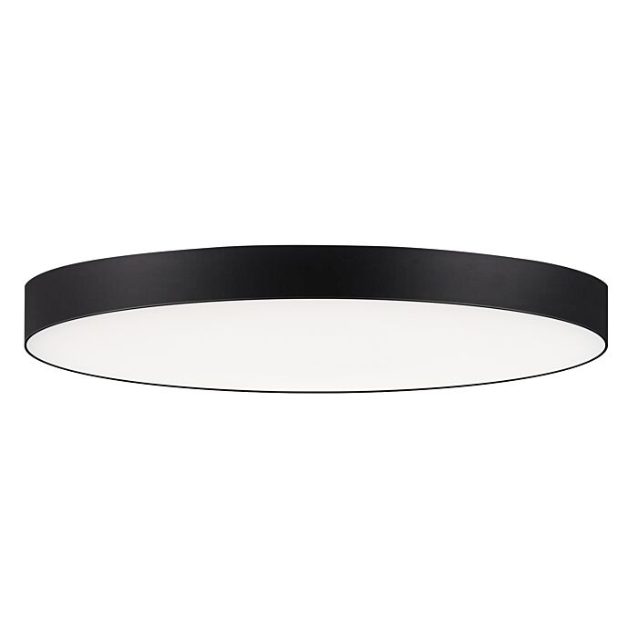 Maxim Trim Ceiling Light in Black