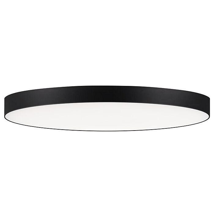 Maxim Trim Ceiling Light in Black
