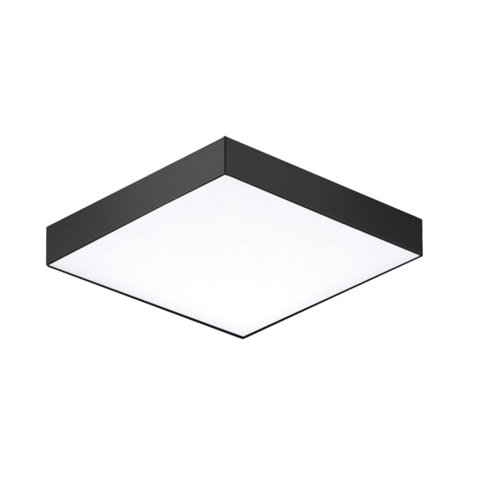 Maxim Trim Ceiling Light in Black