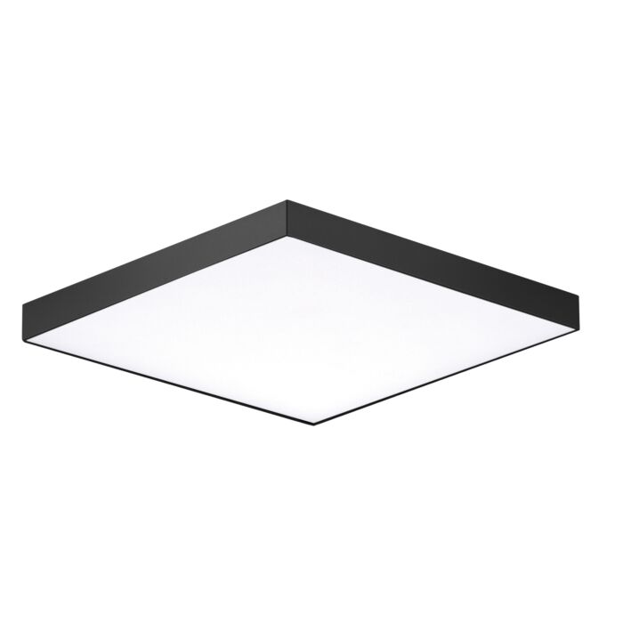 Maxim Trim Ceiling Light in Black