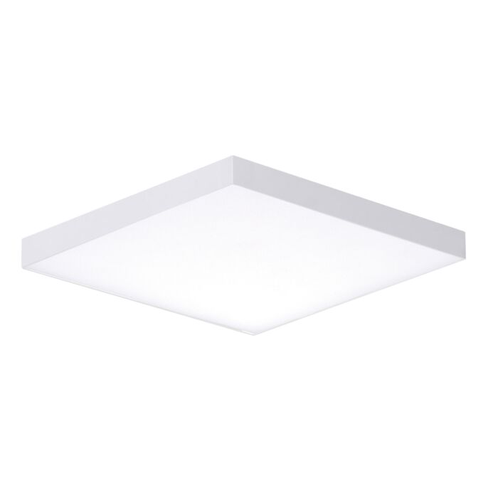 Maxim Trim Ceiling Light in White