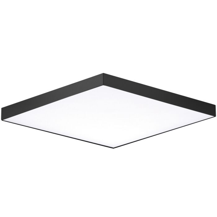 Maxim Trim Ceiling Light in Black