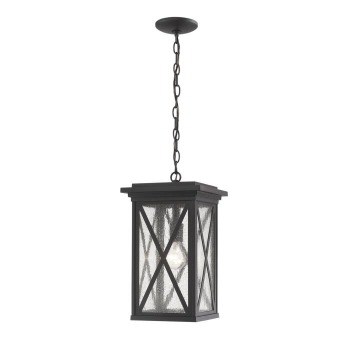 Z Lite Brookside 1 Light Outdoor Chain Mount Ceiling Fixture Light In Black