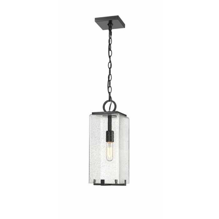Z Lite Sana 1 Light Outdoor Chain Mount Ceiling Fixture Light In Black