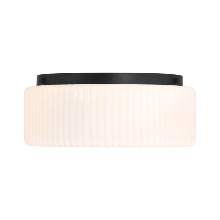 Edgemont 4-Light Ceiling Light in Matte Black