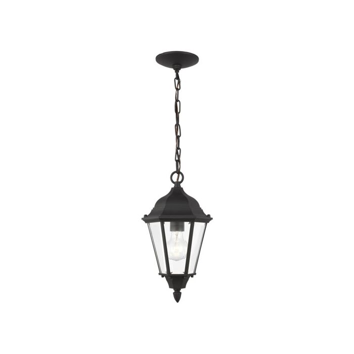 Sea Gull Bakersville Outdoor Hanging Light in Black