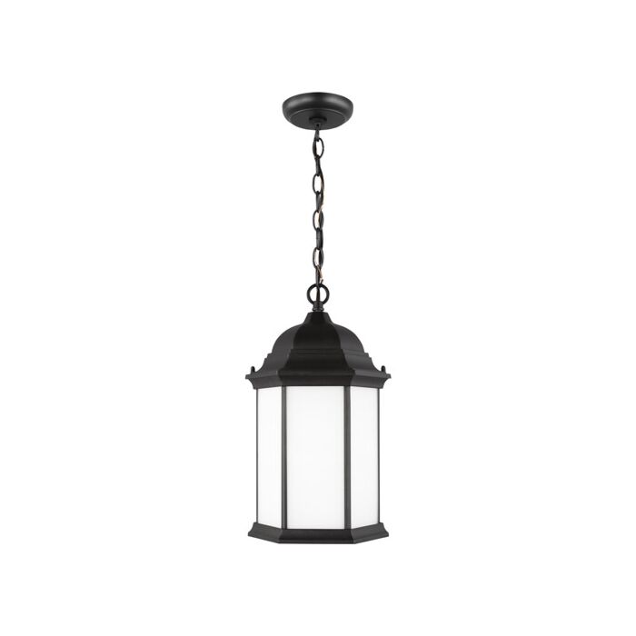 Sea Gull Sevier Outdoor Hanging Light in Black