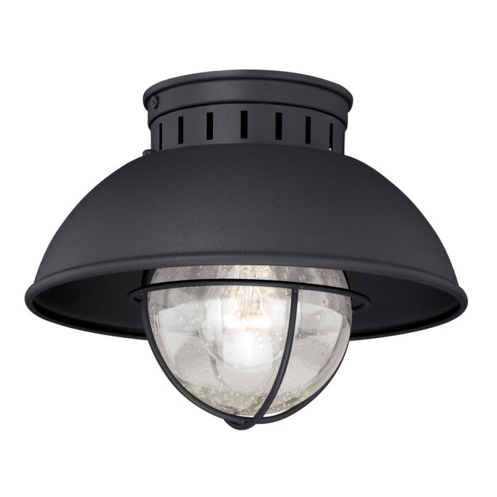 Harwich 1-Light Outdoor Flush Mount in Textured Black