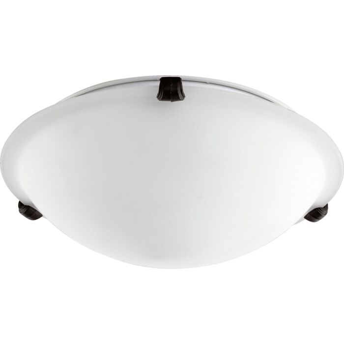 Two Light Ceiling Mount