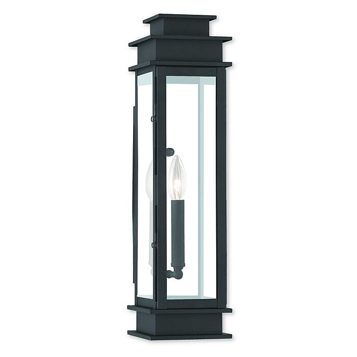 Princeton 1-Light Outdoor Wall Lantern in Black w with Polished Chrome Stainless Steel