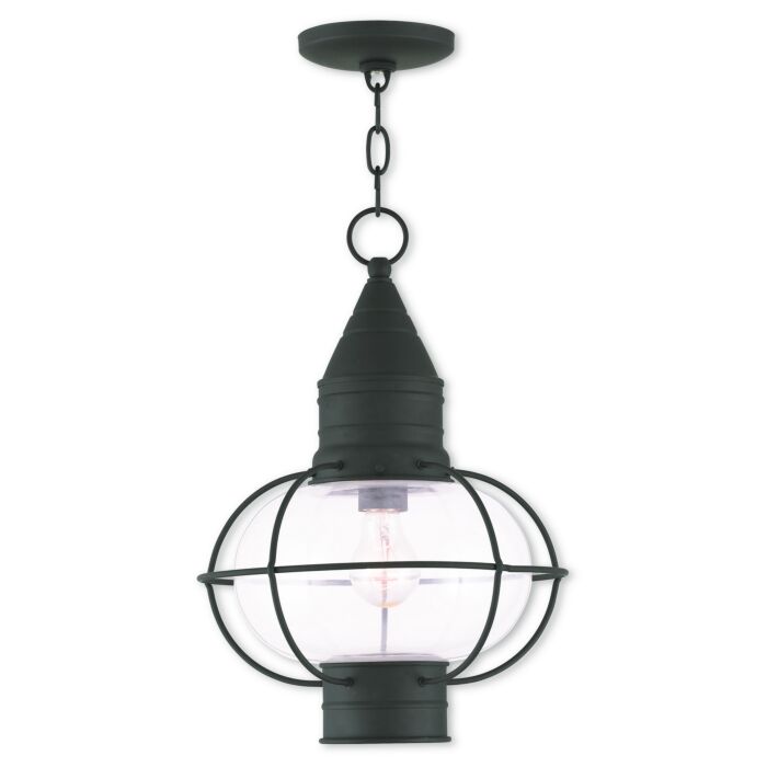 Newburyport 1-Light Outdoor Pendant in Black