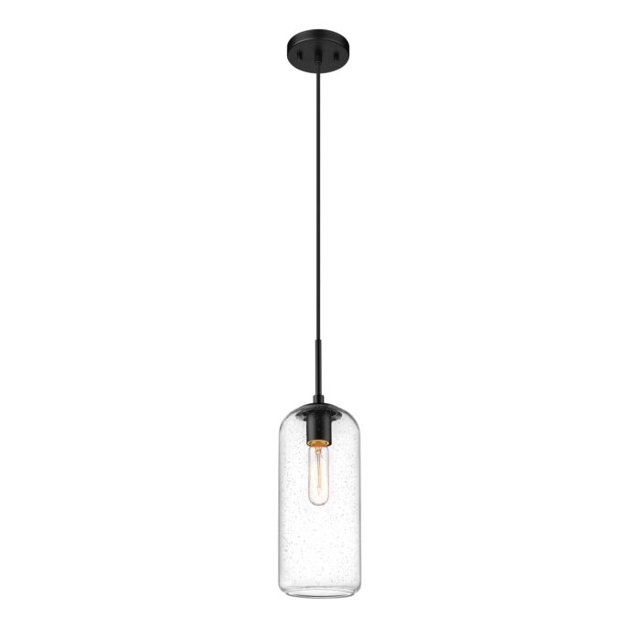 Z Lite Monty 1 Light Pendant Light In Matte Black