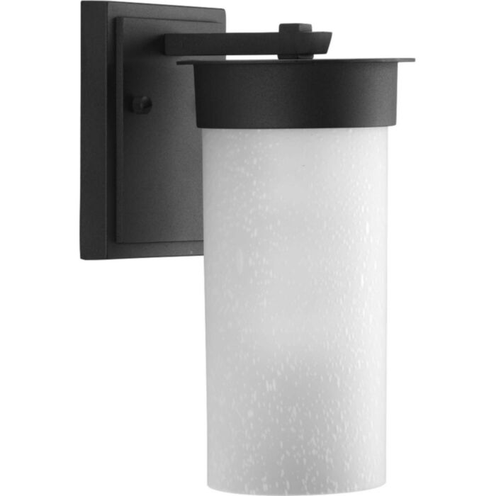 Hawthorne 1-Light Wall Lantern in Black
