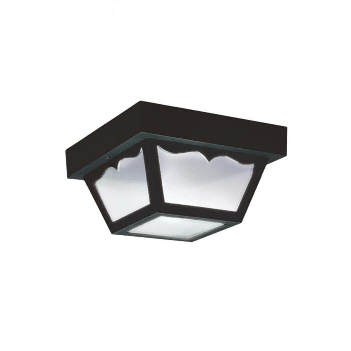 Sea Gull Ceiling 2 Light 10 Inch Outdoor Ceiling Light in Clear