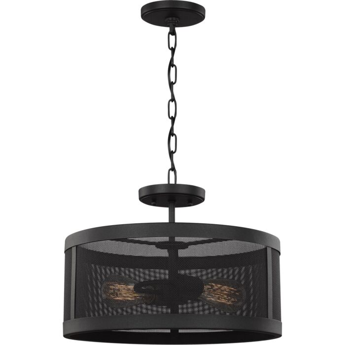 Sea Gull Gereon 2 Light Ceiling Light in Black