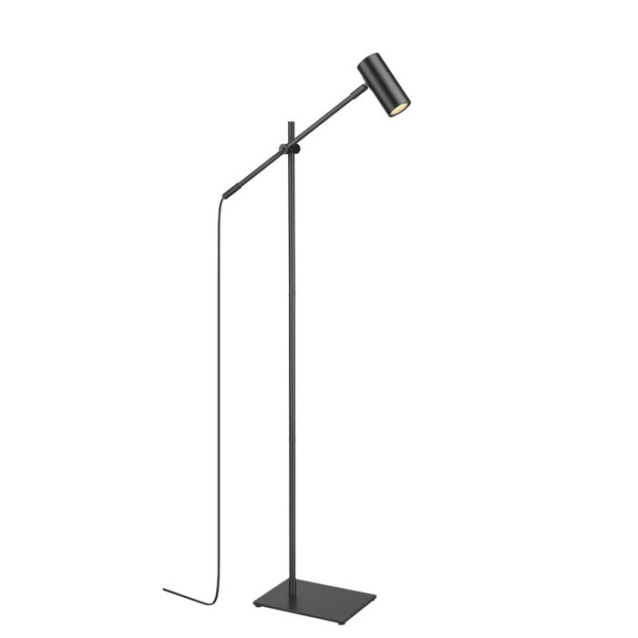 Z Lite Calumet 1 Light Floor Lamp Light In Matte Black