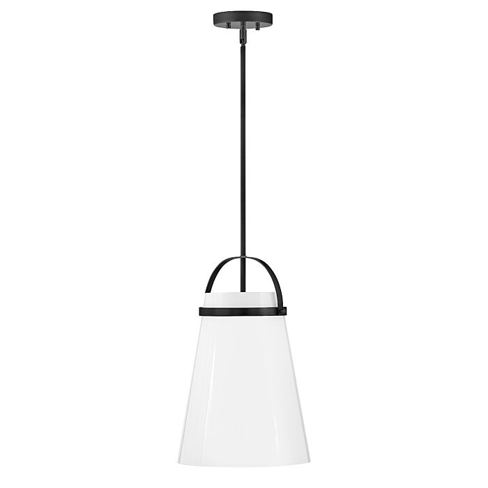 Lark Tori Pendant Light in Black