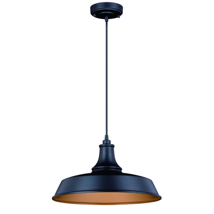 Dorado 1-Light Outdoor Pendant in Dark Bronze and Light Gold