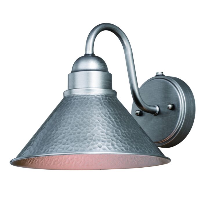 Outland 1-Light Outdoor Wall Mount in Brushed Pewter