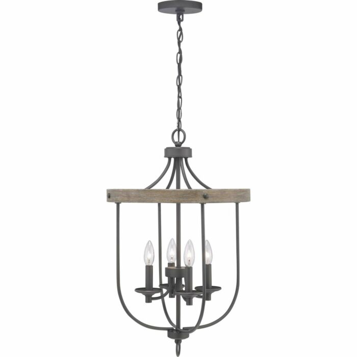 Gulliver 4-Light Foyer Pendant in Graphite