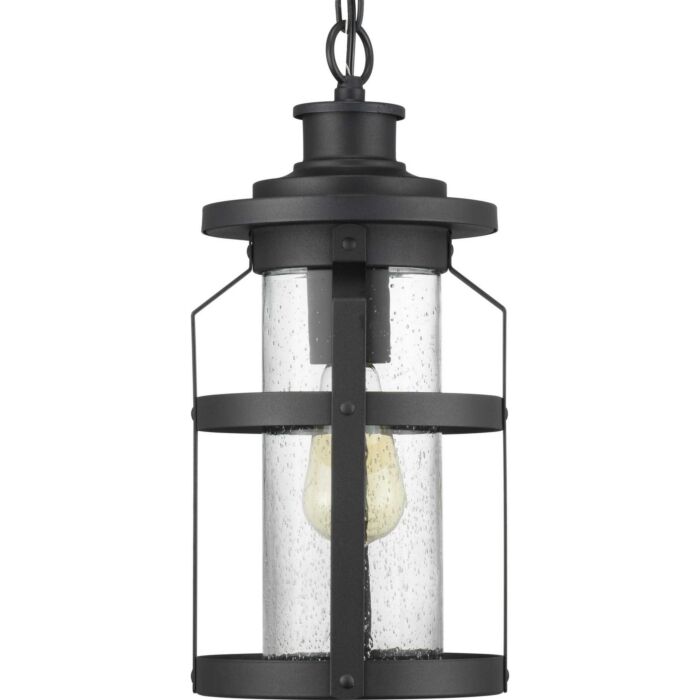 Haslett 1-Light Hanging Lantern in Black
