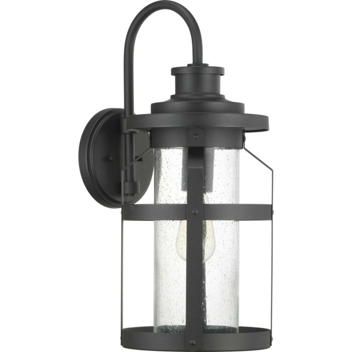 Haslett 1-Light Wall Lantern in Black