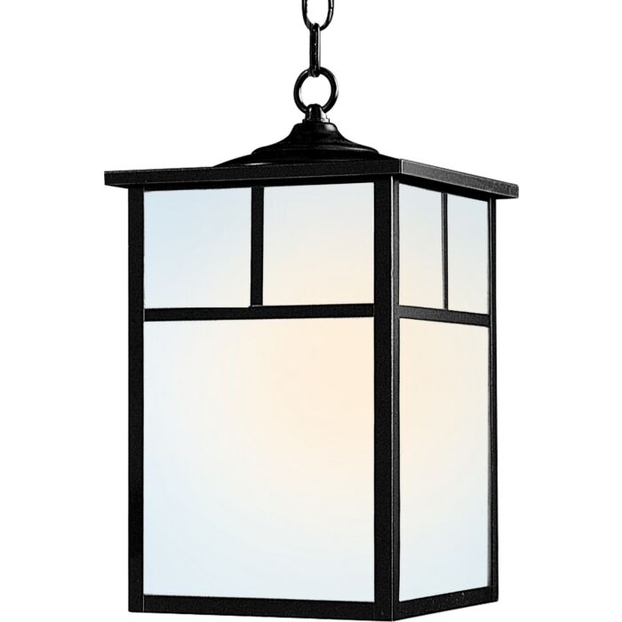 Coldwater 1-Light Outdoor Hanging Lantern in Black