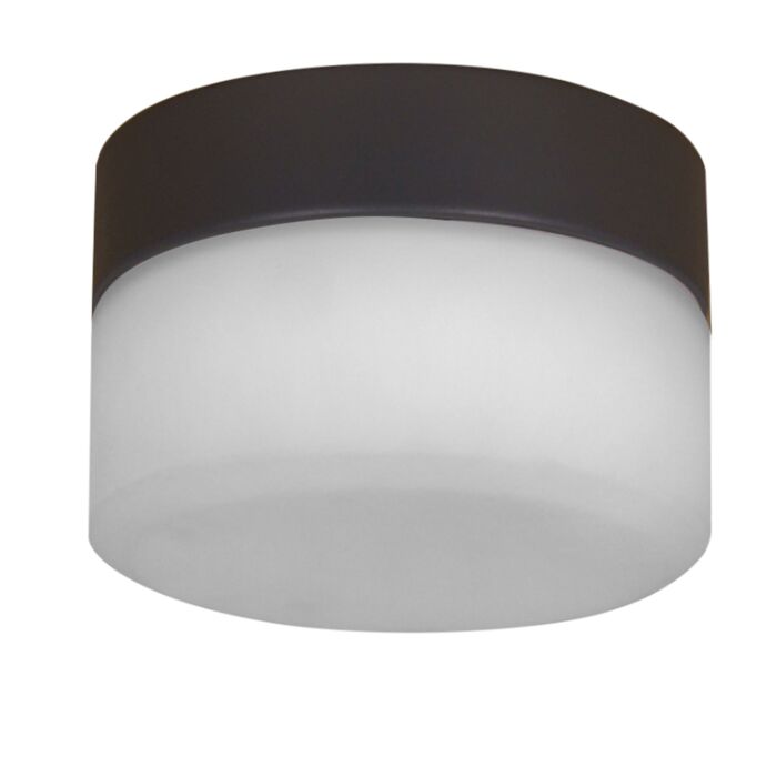 Two Light Ceiling Fan Light Kit