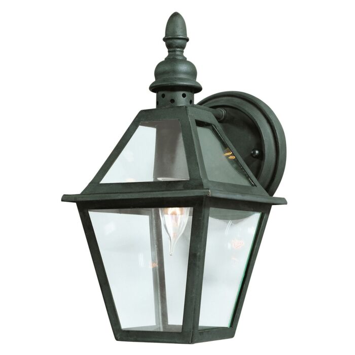 Troy Townsend 13 Inch Outdoor Wall Light in Natural Bronze