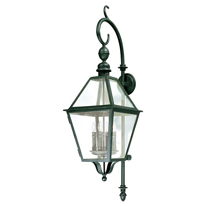 Troy Townsend 4 Light 47 Inch Outdoor Wall Light in Natural Bronze