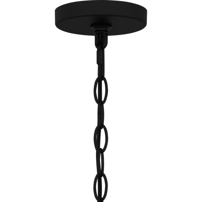 Balchier 1-Light Outdoor Lantern in Matte Black