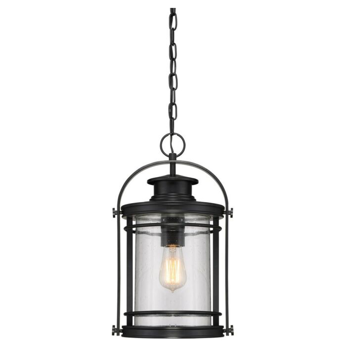 Quoizel Booker 11 Inch Outdoor Hanging Light in Mystic Black