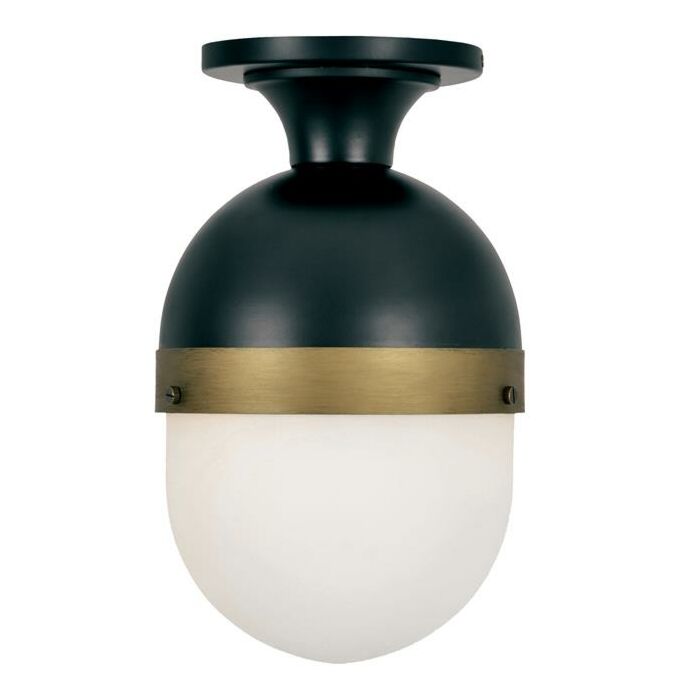 Brian Patrick Flynn for Crystorama Capsule 14 Inch Outdoor Ceiling Light in Black And Gold