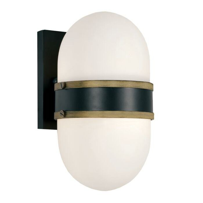 Brian Patrick Flynn for Crystorama Capsule 10 Inch Outdoor Wall Light in Black And Gold