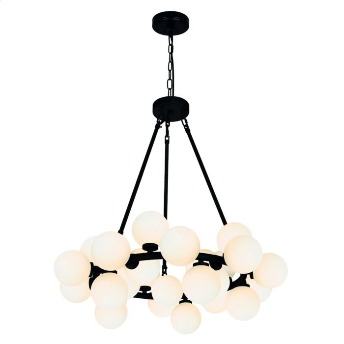 CWI Arya 25 Light Chandelier With Black Finish