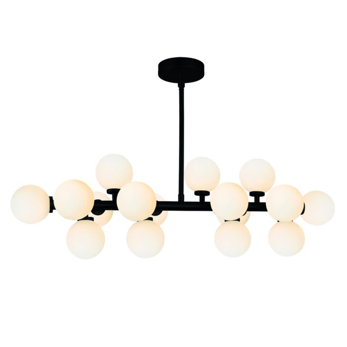 CWI Arya 16 Light Chandelier With Black Finish