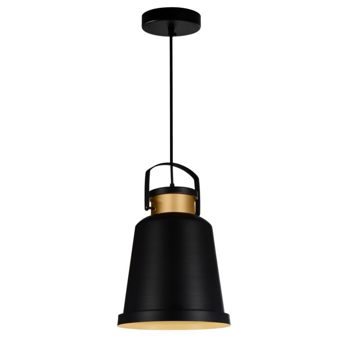 CWI Elisa 1 Light Down Pendant With Black Finish