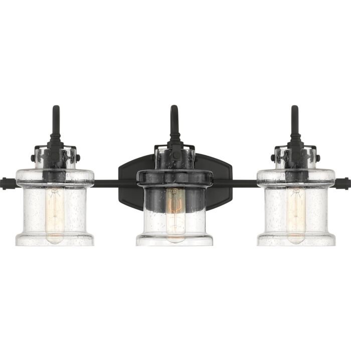 Quoizel Danbury 3 Light 10 Inch Bathroom Vanity Light in Earth Black