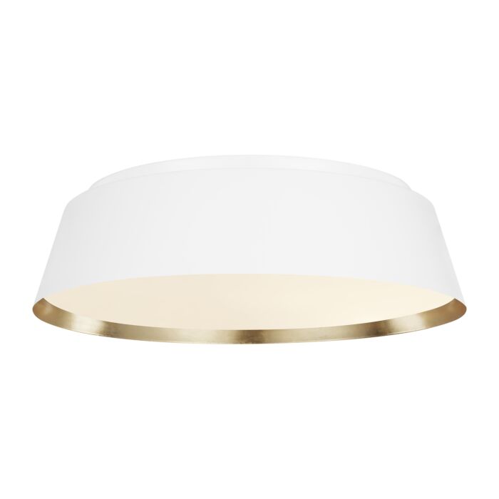 Asher 4 Light Ceiling Light in Matte White by Ellen Degeneres