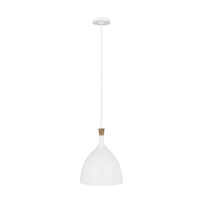 Darwin Pendant Light in Matte White And Natural Wood by Ellen Degeneres