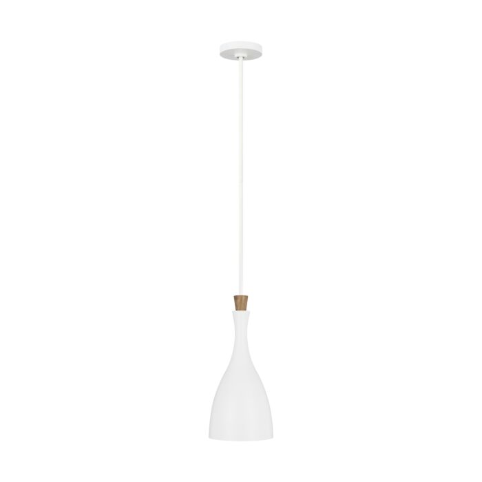 Darwin Pendant Light in Matte White And Natural Wood by Ellen Degeneres