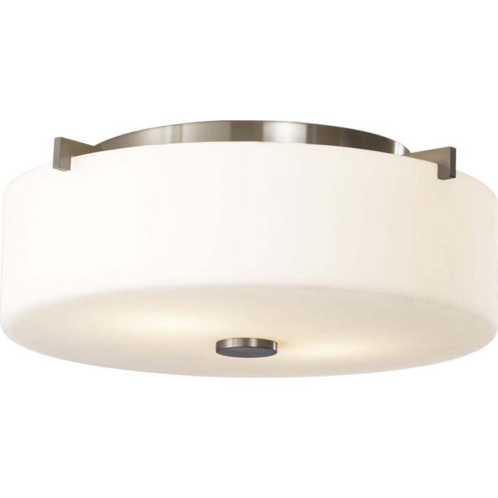 Sea Gull Lighting Sunset Drive 2 Light Ceiling Light in Brushed Steel