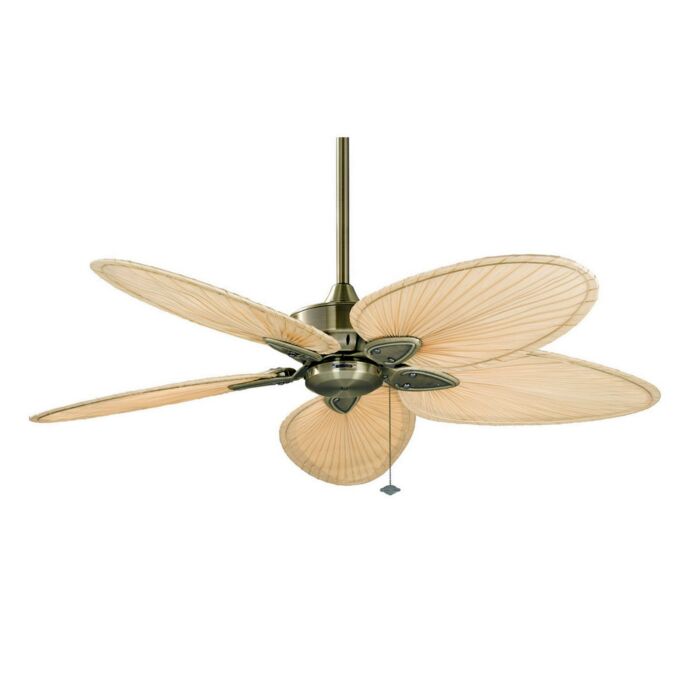 Fanimation 52 Inch Windpointe Indoor Ceiling Fan in Brass w/Palm Blades